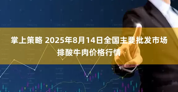 掌上策略 2025年8月14日全国主要批发市场排酸牛肉价格行情